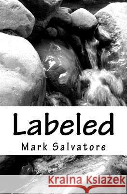 Labeled Mark A. Salvatore 9781456340902 Createspace