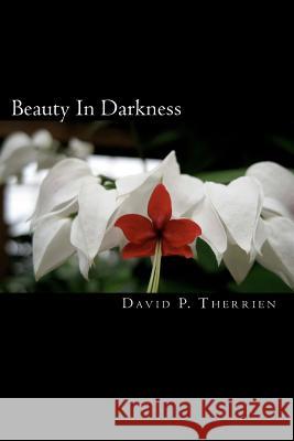 Beauty In Darkness: Finding HOPE in Distressing Times. Therrien, David P. 9781456341541 Createspace