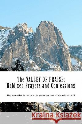 The Valley of Praise: ReMixed Prayers and Confessions to Reform the Soul. Based on the works of Augustine, Calvin and Luther. Alexander, Robert William 9781456507633