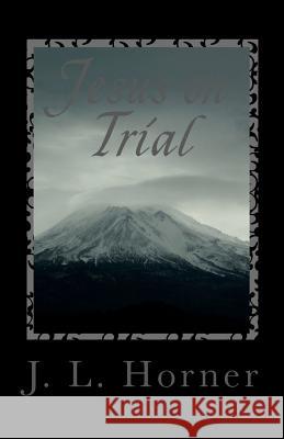 Jesus on Trial: You are the sole juror You have to decide Horner, J. L. 9781456591175 Createspace