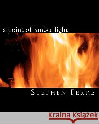A point of amber light Ferre, Stephen 9781456592905 Createspace