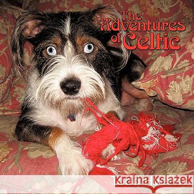 The Adventures of Celtic Todd Hveem 9781456700768 Authorhouse