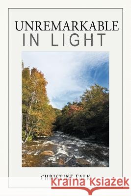 Unremarkable in Light Christine Falk 9781456749798