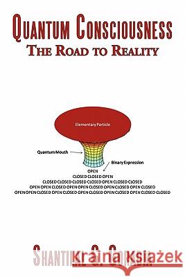 Quantum Consciousness: The Road to Reality Goradia, Shantilal G. 9781456751098 Authorhouse