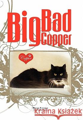 Big Bad Copper Anne Lacey 9781456801250 Xlibris Corporation