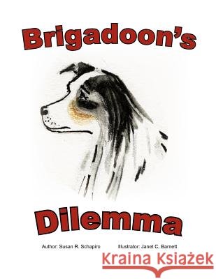 Brigadoon's Dilemma Susan Schapiro 9781456856779