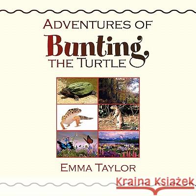 Adventures of Bunting, the Turtle Emma Taylor 9781456859114 Xlibris Corporation