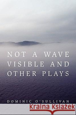 Not a Wave Visible and other plays O'Sullivan, Dominic 9781456867997