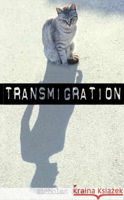 Transmigration Nicholas Maes 9781459702318