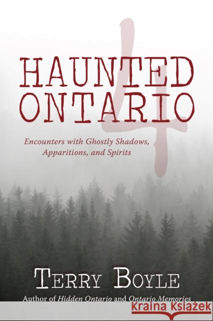 Haunted Ontario 4: Encounters with Ghostly Shadows, Apparitions, and Spirits Terry Boyle 9781459731196 Dundurn Group