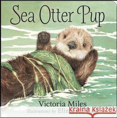 Sea Otter Pup Victoria Miles Elizabeth GATT 9781459804678 Orca Book Publishers