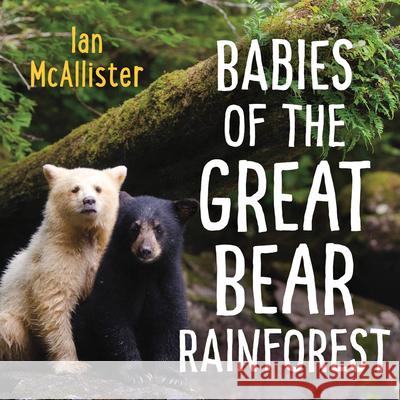 Babies of the Great Bear Rainforest Ian McAllister 9781459821668 Orca Book Publishers