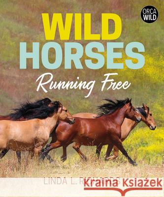Wild Horses: Running Free Linda L. Richards 9781459825598 Orca Book Publishers