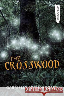 The Crosswood Gabrielle Prendergast 9781459826625 Orca Book Publishers