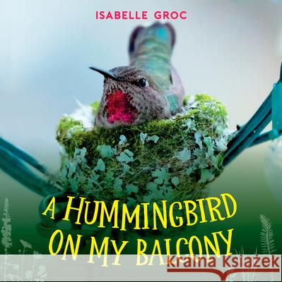 A Hummingbird on My Balcony Isabelle Groc 9781459831667 Orca Book Publishers