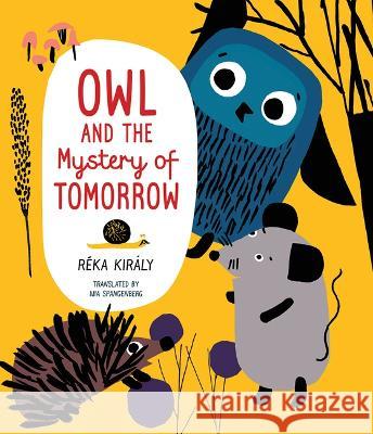 Owl and the Mystery of Tomorrow R?ka Kir?ly Mia Spangenberg 9781459837461 Orca Book Publishers