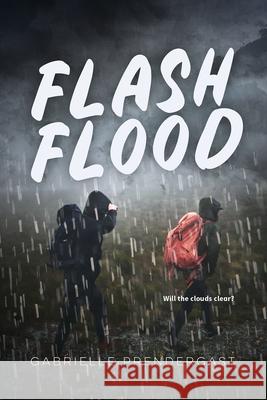 Flash Flood Gabrielle Prendergast 9781459838215