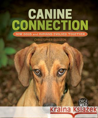 Canine Connection: How Dogs and Humans Evolved Together Christopher Gudgeon 9781459839496 Orca Book Publishers