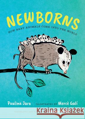 Newborns: How Baby Animals Come Into the World Paulina Jara Merc? Gal? Lawrence Schimel 9781459840348