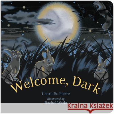 Welcome, Dark Charis S Rachel Wada 9781459841864