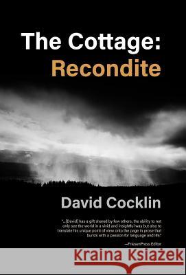 The Cottage: Recondite David Cocklin 9781460283271 FriesenPress