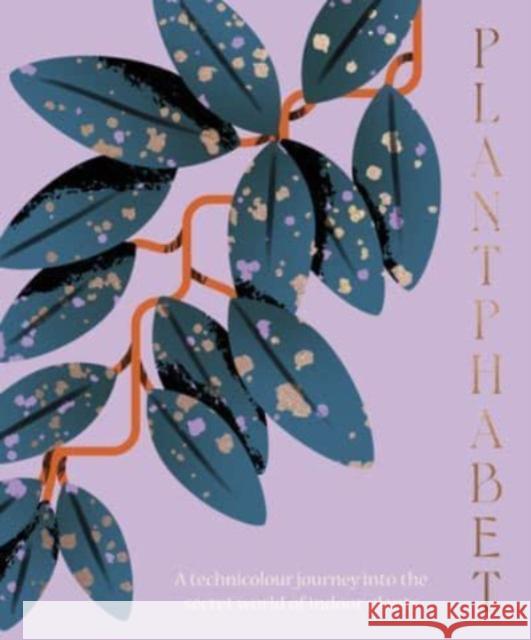 Plantphabet: A stunningly illustrated A-Z celebration of popular indoor plants Harper by Design 9781460760604 HarperCollins Publishers (Australia) Pty Ltd