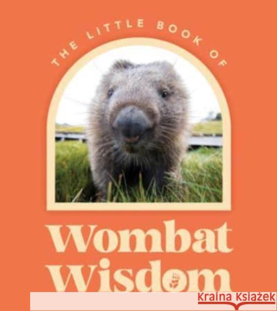 Little Book Of Wombat Wisdom  9781460762523 HarperCollins Publishers (Australia) Pty Ltd