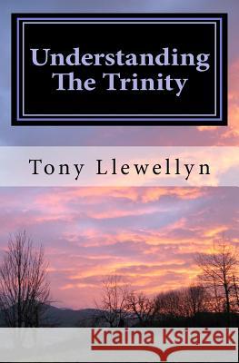 Understanding The Trinity Llewellyn, Tony 9781460903391