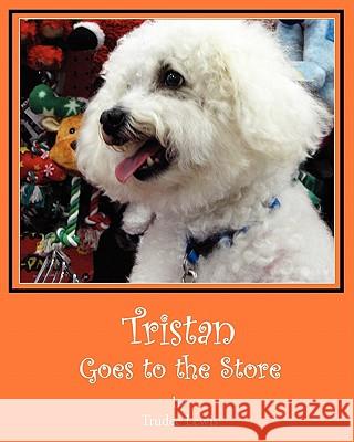 Tristan Goes to the Store Trudee Lewis 9781460931493