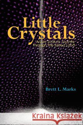 Little Crystals: A Low Sodium Journey Through the Salted Land Brett L. Marks 9781460984932 Createspace