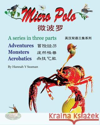 Micro Polo (Bilingual English and Chinese): A three-part series Seaman, Hannah Y. 9781461005674 Createspace