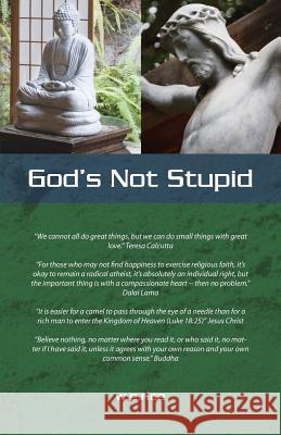 God's Not Stupid William E. Rice 9781461008286