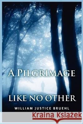 A Pilgrimage Like No Other William Justice Bruehl 9781461011521