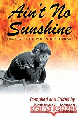 Ain't No Sunshine: Men Reveal the Pain of Heartbreak Kimberley A. Johnson Ann Werner 9781461061182