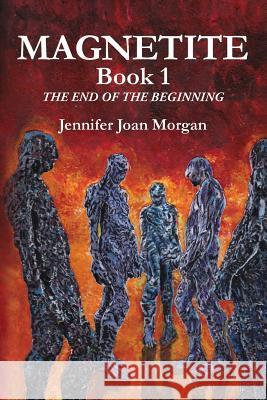 Magnetite: Book 1 The End of the Beginning Morgan, Jennifer Joan 9781461163572