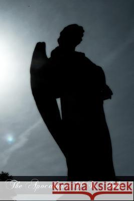 The Apocalypse Of St. John Berry, E. Sylvester 9781461174554 Createspace