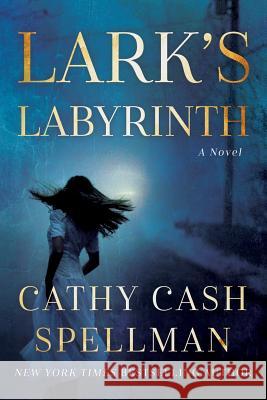 Lark's Labyrinth MS Cathy Cash Spellman 9781461177364