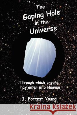 The Gaping Hole in the Universe: Through which anyone may enter into Heaven Young, J. Forrest 9781461187837 Createspace