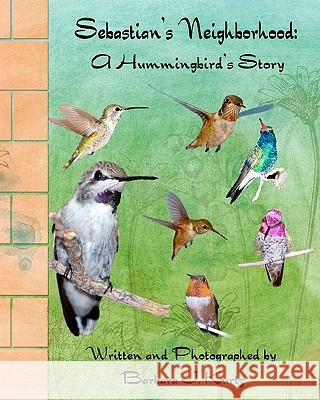 Sebastian's Neighborhood: A Hummingbird's Story Barbara J. Kurtz Christine Naughton Barbara J. Kurtz 9781461190332 Createspace