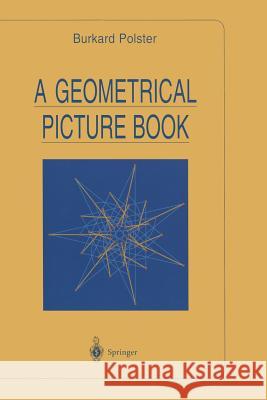 A Geometrical Picture Book Burkard Polster 9781461264262 Springer
