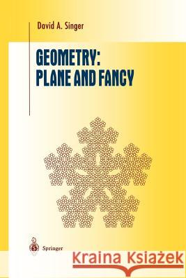 Geometry: Plane and Fancy David A. Singer David A 9781461268376 Springer