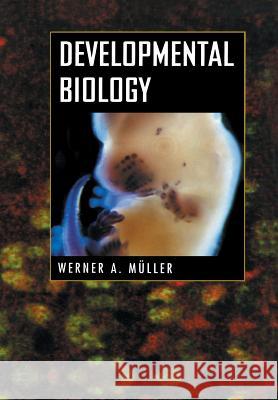 Developmental Biology Werner A. Muller 9781461274728 Springer