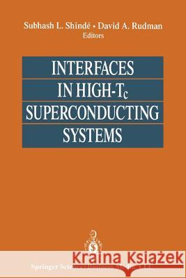 Interfaces in High-Tc Superconducting Systems Subhash L. Shinde David Rudman 9781461275930