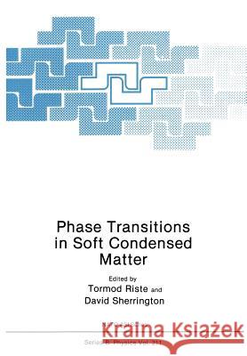 Phase Transitions in Soft Condensed Matter Tormod Riste David Sherrington 9781461278627