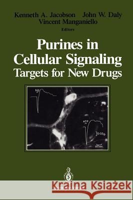 Purines in Cellular Signaling: Targets for New Drugs Jacobson, Kenneth A. 9781461279969 Springer