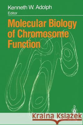 Molecular Biology of Chromosome Function Kenneth W. Adolph 9781461281924 Springer