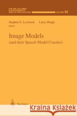 Image Models (and Their Speech Model Cousins) Levinson, Stephen 9781461284826 Springer