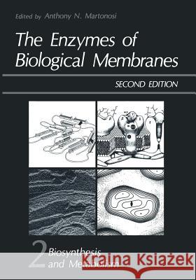 The Enzymes of Biological Membranes: Volume 2 Biosynthesis and Metabolism Martonosi, Anthony 9781461294429 Springer