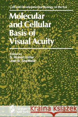 Molecular and Cellular Basis of Visual Acuity S. R. Hilfer J. B. Sheffield 9781461297512 Springer