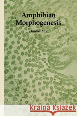 Amphibian Morphogenesis Harold Fox 9781461297772 Humana Press